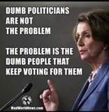dumb politicians